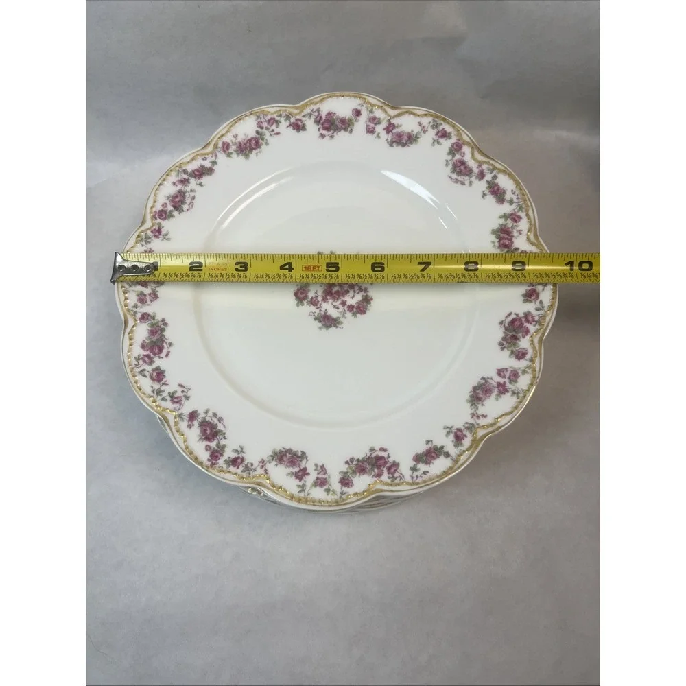 Haviland & Co Limoges Schleiger 270 Dinner Plates. 9.75